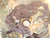 �S��